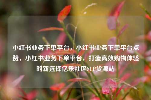 小红书业务下单平台，小红书业务下单平台点赞，小红书业务下单平台	，打造高效购物体验的新选择亿乐社区SUP货源站  第1张