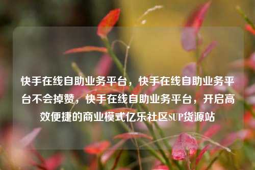 快手在线自助业务平台，快手在线自助业务平台不会掉赞	，快手在线自助业务平台，开启高效便捷的商业模式亿乐社区SUP货源站  第1张