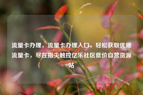 流量卡办理，流量卡办理入口	，轻松获取优质流量卡，尽在指尖触控亿乐社区低价自营货源站  第1张
