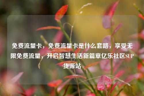 免费流量卡，免费流量卡是什么套路，享受无限免费流量	，开启智慧生活新篇章亿乐社区SUP货源站  第1张
