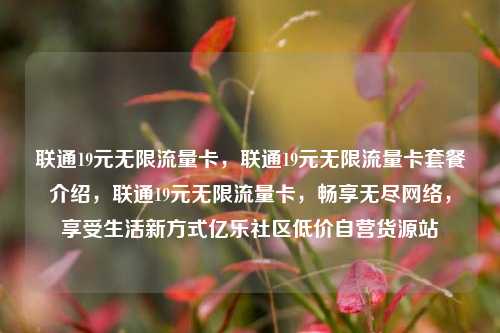 联通19元无限流量卡，联通19元无限流量卡套餐介绍，联通19元无限流量卡	，畅享无尽网络，享受生活新方式亿乐社区低价自营货源站  第1张