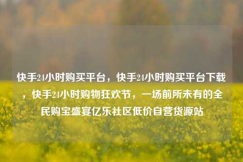 快手24小时购买平台，快手24小时购买平台下载，快手24小时购物狂欢节	，一场前所未有的全民购宝盛宴亿乐社区低价自营货源站  第1张