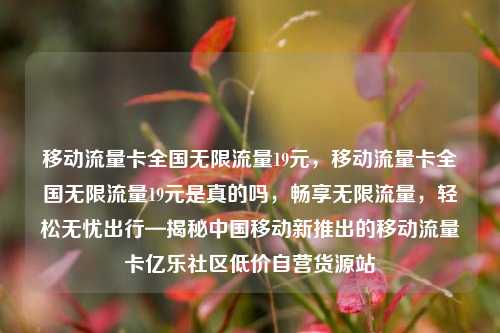 移动流量卡全国无限流量19元	，移动流量卡全国无限流量19元是真的吗，畅享无限流量，轻松无忧出行—揭秘中国移动新推出的移动流量卡亿乐社区低价自营货源站  第1张