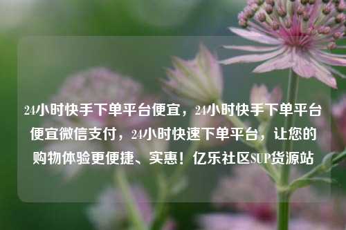 24小时快手下单平台便宜，24小时快手下单平台便宜微信支付	，24小时快速下单平台，让您的购物体验更便捷	、实惠！亿乐社区SUP货源站  第1张