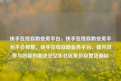 快手在线自助业务平台，快手在线自助业务平台不会掉赞	，快手在线自助业务平台，提升效率与创新的新途径亿乐社区低价自营货源站  第1张