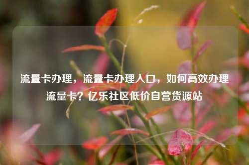 流量卡办理，流量卡办理入口，如何高效办理流量卡？亿乐社区低价自营货源站  第1张