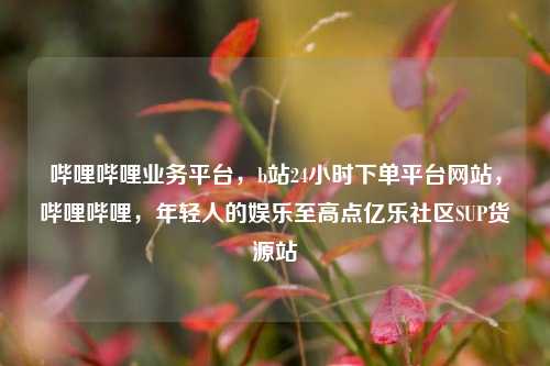 哔哩哔哩业务平台	，b站24小时下单平台网站，哔哩哔哩，年轻人的娱乐至高点亿乐社区SUP货源站  第1张