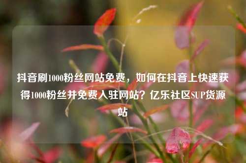 抖音刷1000粉丝网站免费，如何在抖音上快速获得1000粉丝并免费入驻网站？亿乐社区SUP货源站  第1张