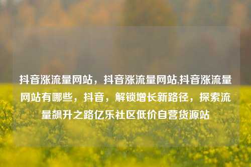 抖音涨流量网站	，抖音涨流量网站,抖音涨流量网站有哪些，抖音，解锁增长新路径，探索流量飙升之路亿乐社区低价自营货源站  第1张