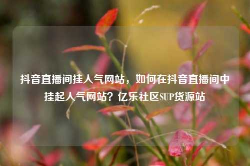 抖音直播间挂人气网站，如何在抖音直播间中挂起人气网站？亿乐社区SUP货源站  第1张