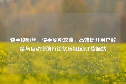 快手刷粉丝	，快手刷粉攻略，高效提升用户数量与互动率的方法亿乐社区SUP货源站  第1张