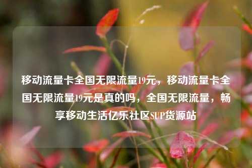 移动流量卡全国无限流量19元，移动流量卡全国无限流量19元是真的吗，全国无限流量	，畅享移动生活亿乐社区SUP货源站  第1张