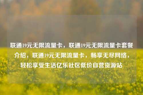 联通19元无限流量卡，联通19元无限流量卡套餐介绍	，联通19元无限流量卡，畅享无尽网络，轻松享受生活亿乐社区低价自营货源站  第1张