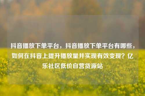 抖音播放下单平台	，抖音播放下单平台有哪些，如何在抖音上提升播放量并实现有效变现？亿乐社区低价自营货源站  第1张