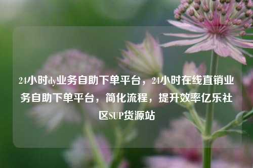 24小时dy业务自助下单平台	，24小时在线直销业务自助下单平台，简化流程，提升效率亿乐社区SUP货源站  第1张