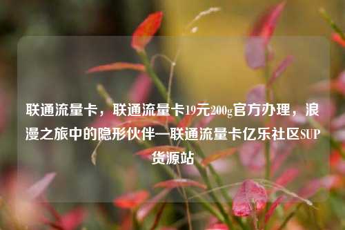 联通流量卡，联通流量卡19元200g官方办理，浪漫之旅中的隐形伙伴—联通流量卡亿乐社区SUP货源站  第1张