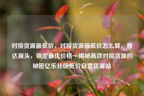 对接货源最低价，对接货源最低价怎么算，直达源头	，锁定最优价格—揭秘高效对接货源的秘密亿乐社区低价自营货源站  第1张