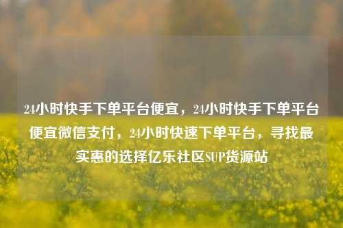 24小时快手下单平台便宜，24小时快手下单平台便宜微信支付	，24小时快速下单平台，寻找最实惠的选择亿乐社区SUP货源站  第1张
