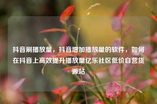 抖音刷播放量，抖音增加播放量的软件，如何在抖音上高效提升播放量亿乐社区低价自营货源站  第1张