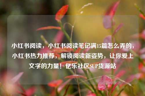小红书阅读，小红书阅读笔记满15篇怎么弄的	，小红书热力推荐，解锁阅读新姿势，让你爱上文字的力量！亿乐社区SUP货源站  第1张