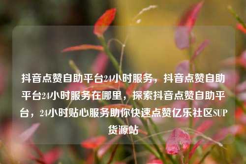 抖音点赞自助平台24小时服务	，抖音点赞自助平台24小时服务在哪里，探索抖音点赞自助平台，24小时贴心服务助你快速点赞亿乐社区SUP货源站  第1张