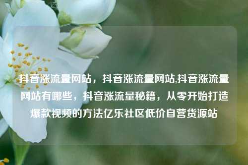 抖音涨流量网站	，抖音涨流量网站,抖音涨流量网站有哪些，抖音涨流量秘籍，从零开始打造爆款视频的方法亿乐社区低价自营货源站  第1张