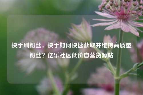 快手刷粉丝，快手如何快速获取并维持高质量粉丝？亿乐社区低价自营货源站  第1张