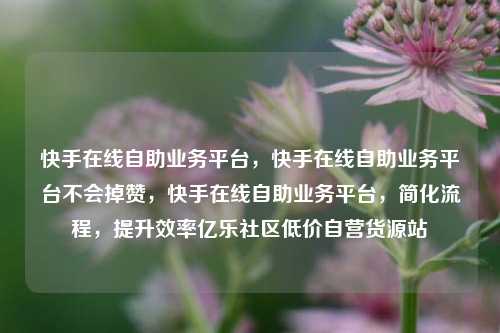 快手在线自助业务平台，快手在线自助业务平台不会掉赞，快手在线自助业务平台	，简化流程，提升效率亿乐社区低价自营货源站  第1张