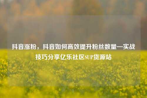 抖音涨粉	，抖音如何高效提升粉丝数量—实战技巧分享亿乐社区SUP货源站  第1张