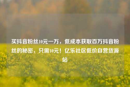 买抖音粉丝10元一万，低成本获取百万抖音粉丝的秘密	，只需10元！亿乐社区低价自营货源站  第1张