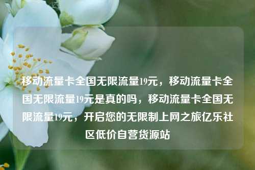 移动流量卡全国无限流量19元，移动流量卡全国无限流量19元是真的吗，移动流量卡全国无限流量19元，开启您的无限制上网之旅亿乐社区低价自营货源站  第1张