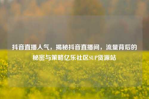 抖音直播人气，揭秘抖音直播间	，流量背后的秘密与策略亿乐社区SUP货源站  第1张