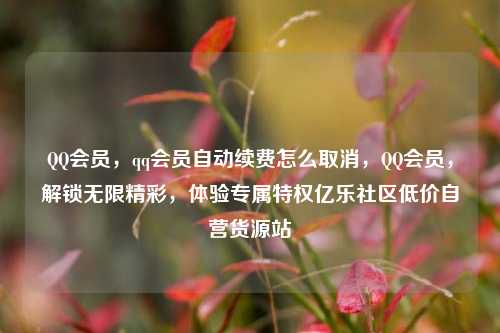 QQ会员	，qq会员自动续费怎么取消，QQ会员，解锁无限精彩	，体验专属特权亿乐社区低价自营货源站  第1张