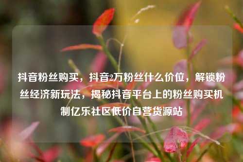 抖音粉丝购买，抖音2万粉丝什么价位	，解锁粉丝经济新玩法，揭秘抖音平台上的粉丝购买机制亿乐社区低价自营货源站  第1张