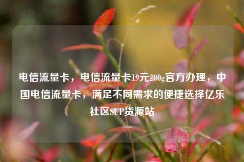 电信流量卡，电信流量卡19元200g官方办理，中国电信流量卡，满足不同需求的便捷选择亿乐社区SUP货源站  第1张