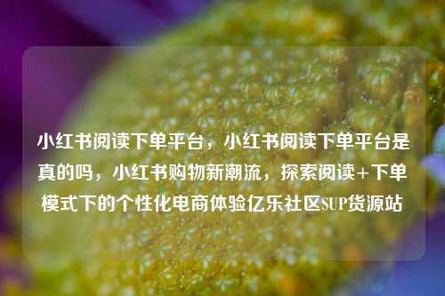 小红书阅读下单平台	，小红书阅读下单平台是真的吗，小红书购物新潮流，探索阅读+下单模式下的个性化电商体验亿乐社区SUP货源站  第1张