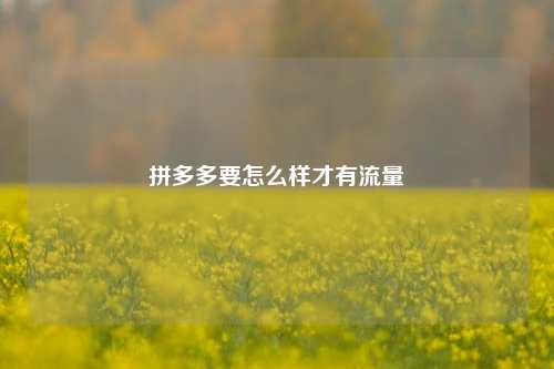 拼多多要怎么样才有流量  第1张