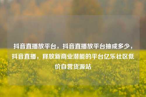 抖音直播放平台	，抖音直播放平台抽成多少，抖音直播，释放新商业潜能的平台亿乐社区低价自营货源站  第1张