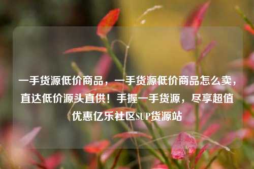 一手货源低价商品，一手货源低价商品怎么卖	，直达低价源头直供！手握一手货源，尽享超值优惠亿乐社区SUP货源站  第1张