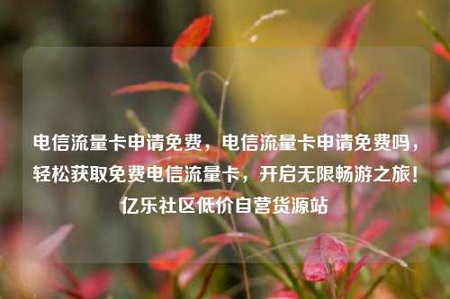 电信流量卡申请免费	，电信流量卡申请免费吗，轻松获取免费电信流量卡，开启无限畅游之旅！亿乐社区低价自营货源站  第1张