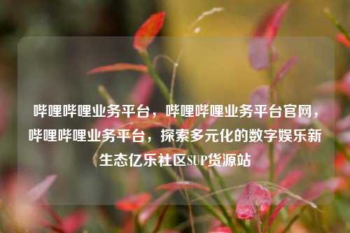 哔哩哔哩业务平台，哔哩哔哩业务平台官网	，哔哩哔哩业务平台，探索多元化的数字娱乐新生态亿乐社区SUP货源站  第1张