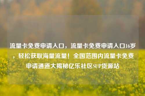 流量卡免费申请入口，流量卡免费申请入口16岁，轻松获取海量流量！全国范围内流量卡免费申请通道大揭秘亿乐社区SUP货源站  第1张