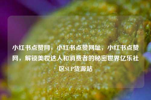 小红书点赞网	，小红书点赞网址，小红书点赞网，解锁美妆达人和消费者的秘密世界亿乐社区SUP货源站  第1张