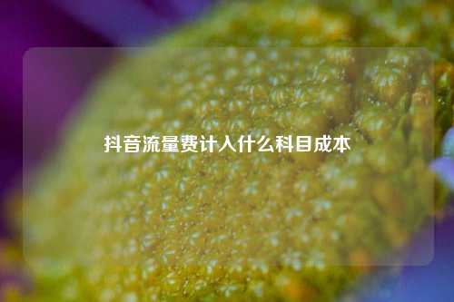 抖音流量费计入什么科目成本  第1张