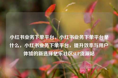 小红书业务下单平台，小红书业务下单平台是什么，小红书业务下单平台	，提升效率与用户体验的新选择亿乐社区SUP货源站  第1张