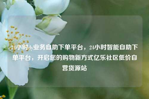 24小时dy业务自助下单平台	，24小时智能自助下单平台，开启您的购物新方式亿乐社区低价自营货源站  第1张