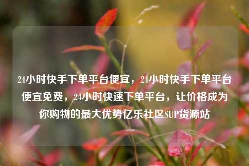 24小时快手下单平台便宜，24小时快手下单平台便宜免费	，24小时快速下单平台，让价格成为你购物的最大优势亿乐社区SUP货源站  第1张