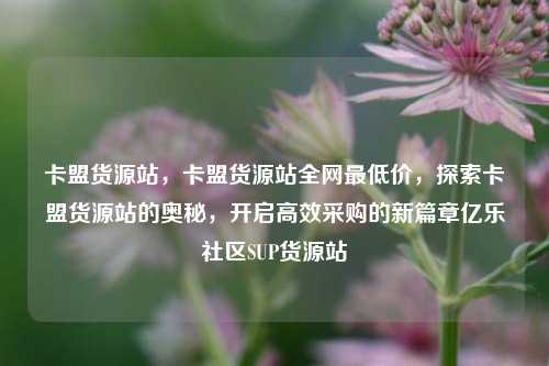 卡盟货源站	，卡盟货源站全网最低价，探索卡盟货源站的奥秘，开启高效采购的新篇章亿乐社区SUP货源站  第1张