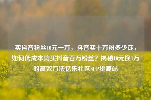 买抖音粉丝10元一万，抖音买十万粉多少钱，如何低成本购买抖音百万粉丝？揭秘10元换1万的高效方法亿乐社区SUP货源站  第1张