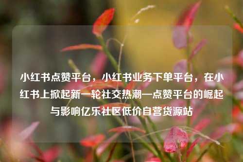 小红书点赞平台，小红书业务下单平台，在小红书上掀起新一轮社交热潮—点赞平台的崛起与影响亿乐社区低价自营货源站  第1张